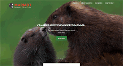Desktop Screenshot of marmots.org